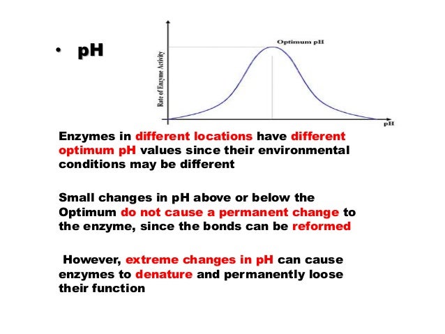 Factor Affecting Enzyme Catalyzed Reaction