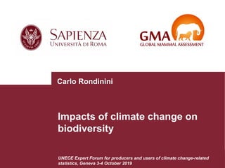 Impacts of climate change on
biodiversity
Carlo Rondinini
UNECE Expert Forum for producers and users of climate change-related
statistics, Geneva 3-4 October 2019
 