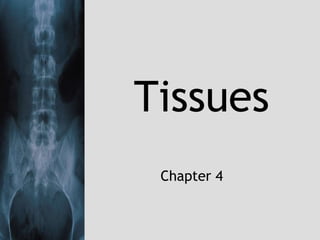 Tissues
Chapter 4
 