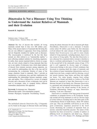 ORIGINAL SCIENTIFIC ARTICLE
Dimetrodon Is Not a Dinosaur: Using Tree Thinking
to Understand the Ancient Relatives of Mammals
and their Evolution
Kenneth D. Angielczyk
Published online: 5 February 2009
# Springer Science + Business Media, LLC 2009
Abstract The line of descent that includes all living
mammals extends back in time over 300 million years.
Many of the ancient relatives of mammals that fall along this
line are very different in appearance from living mammals
and are frequently mistaken for reptiles such as dinosaurs.
This misconception is reinforced by the fact that these
animals are often referred to as “mammal-like reptiles,” a
term reflecting outdated methods for classifying organisms.
In reality, these ancient mammal-relatives, known as synap-
sids, are more closely related to living mammals than they
are to any reptiles. Evolutionary trees, which depict patterns
of descent from common ancestors among organisms, are
very useful for understanding why this is the case and for
reconstructing the evolutionary histories of many of the
unique characters found in mammals. Here, I provide an
introduction to evolutionary trees and their implications for
understanding the relationships between mammals, synap-
sids, and reptiles. This is followed by a review of synapsid
diversity and a discussion of how evolutionary trees can be
used to investigate when in synapsid history different
mammalian characteristics first appeared.
Keywords Evolutionary tree . Mammalia .
Mammal-like reptile . Non-mammalian synapsid .
Permian . Phylogeny. Synapsida . Tree thinking . Triassic
Introduction
The sail-backed carnivore Dimetrodon (Fig. 1) frequently
can be found on the pages of dinosaur books and lurking
among the plastic dinosaurs for sale at museum gift shops.
Nevertheless, Dimetrodon is not a dinosaur; it became
extinct about 60 million years before the first dinosaurs
evolved (almost the same amount of time that separates
humans from Tyrannosaurus rex), and it is more closely
related to living mammals, including humans, than it is to
any extinct or living reptile. The idea that Dimetrodon is
not a dinosaur but a mammal relative instead, is familiar to
idea to vertebrate paleontologists: It was first formulated
in the second half of the nineteenth century (Cope 1878)
and is well supported by diverse types of evidence.
Dimetrodon belongs to the array of fossil vertebrates that
document in stunning detail the origin of mammals and
the evolution of many mammalian characteristics such as a
single lower jaw bone, complex teeth for chewing, a novel
jaw muscle anatomy, large brains, and three tiny middle
ear bones. Yet, many people, ranging from college
students to my friends and family to visitors at The Field
Museum are surprised to learn that Dimetrodon is not a
dinosaur but part of our family tree. Dinosaur Dimetrodon
is a persistent and widespread misconception. No wonder
a T-shirt sold at the annual meeting of the Society of
Vertebrate Paleontology features an angry Dimetrodon
shouting, “I am not a dinosaur!”
Dimetrodon is a member of the large group of terrestrial
vertebrates or tetrapods known as the Synapsida. Synap-
sids include all living mammals as well as a diverse range
of extinct relatives extending back to the latter parts of the
Carboniferous Period of Earth history, about 305 million
years ago. They are justifiably well known as one of the
great evolutionary sequences preserved in the fossil
record, illustrating the evolution of mammals from an
ancient, somewhat lizard-like ancestor. The nature of this
transition has been reviewed by a number of authors at
differing levels of complexity and detail (e.g., Hopson
1987, 1991, 1994, 2001; Hotton 1991; Rubidge and Sidor
Evo Edu Outreach (2009) 2:257–271
DOI 10.1007/s12052-009-0117-4
K. D. Angielczyk (*)
Department of Geology, The Field Museum,
1400 South Lake Shore Drive,
Chicago, IL 60605, USA
e-mail: kangielczyk@fieldmuseum.org
 