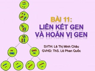 SVTH: Lê Thị Minh Châu GVHD: ThS. Lê Phan Quốc 