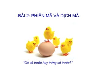 BÀI 2: PHIÊN MÃ VÀ DỊCH MÃ “ Gà có trước hay trứng có trước?” 