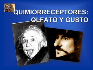 QUIMIORRECEPTORES:OLFATO Y GUSTO 