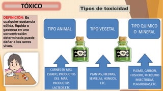 TÓXICO
DEFINICIÓN: Es
cualquier sustancia
sólida, líquida o
gaseosa en una
concentración
determinada puede
dañar a los seres
vivos.
Tipos de toxicidad
 