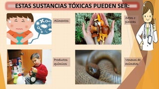 Alimentos
Setas o
plantas
Productos
químicos
Venenos de
animales
ESTAS SUSTANCIAS TÓXICAS PUEDEN SER:
 