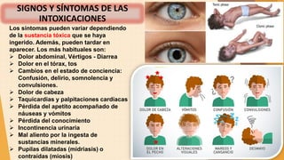Los síntomas pueden variar dependiendo
de la sustancia tóxica que se haya
ingerido. Además, pueden tardar en
aparecer. Los más habituales son:
 Dolor abdominal, Vértigos - Diarrea
 Dolor en el tórax, tos
 Cambios en el estado de conciencia:
Confusión, delirio, somnolencia y
convulsiones.
 Dolor de cabeza
 Taquicardias y palpitaciones cardíacas
 Pérdida del apetito acompañado de
náuseas y vómitos
 Pérdida del conocimiento
 Incontinencia urinaria
 Mal aliento por la ingesta de
sustancias minerales.
 Pupilas dilatadas (midriasis) o
contraídas (miosis)
SIGNOS Y SÍNTOMAS DE LAS
INTOXICACIONES
 