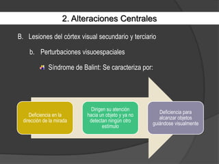 2. Alteraciones CentralesLesiones del córtex visual secundario y terciarioPerturbaciones visuoespacialesSíndrome de Balint: Se caracteriza por:
