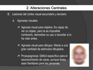 2. Alteraciones CentralesLesiones del córtex visual secundario y terciarioAgnosias visualesAgnosia visual para objetos: Es capaz de ver un objeto, pero le es imposible nombrarlo, demostrar su uso o recordar si lo ha visto antes.Agnosia visual para dibujos: Afecta a una gran cantidad de estímulos dibujados.Prosopagnosia: Déficit específico para el reconocimiento de caras, aunque éstas sean familiares para las personas.