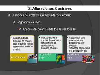 2. Alteraciones CentralesLesiones del córtex visual secundario y terciarioAgnosias visualesAgnosia del color: Puede tomar tres formas: