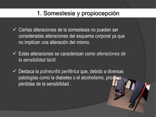 En el síndrome de heminegligencia, el paciente presenta una ignorancia distintiva del lado izquierdo de su cuerpo (contraria al lado de la alteración cerebral).1. Somestesia y propiocepciónCiertas alteraciones de la somestesia no pueden ser consideradas alteraciones del esquema corporal ya que no implican una alteración del mismo.