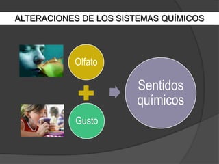 También se encuentran las alteraciones de la percepción del dolor que van desde el dolor crónico hasta la falta de percepción del dolor.2. ExterocepciónDestacan las agnosias táctiles o esteroagnosiasconsistentes, que se define como la incapacidad para el reconocimiento de objetos palpados.ALTERACIONES DE LOS SISTEMAS QUÍMICOS
