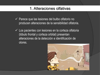 Disminución de la capacidad olfativa debido a exposiciones largas a olores.