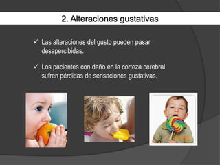 Las pérdidas de la sensibilidad olfativa se denominan anosmiasy suelen asociarse a deficiencias genéticas de la proteínas receptoras de los receptores olfativos.1. Alteraciones olfativasParece que las lesiones del bulbo olfatorio no producen alteraciones de la sensibilidad olfatoria.