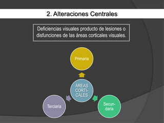 2. Alteraciones CentralesDeficiencias visuales producto de lesiones o disfunciones de las áreas corticales visuales.