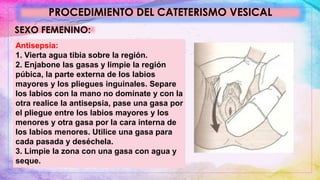 PROCEDIMIENTO DEL CATETERISMO VESICAL
SEXO FEMENINO:
Antisepsia:
1. Vierta agua tibia sobre la región.
2. Enjabone las gasas y limpie la región
púbica, la parte externa de los labios
mayores y los pliegues inguinales. Separe
los labios con la mano no domínate y con la
otra realice la antisepsia, pase una gasa por
el pliegue entre los labios mayores y los
menores y otra gasa por la cara interna de
los labios menores. Utilice una gasa para
cada pasada y deséchela.
3. Limpie la zona con una gasa con agua y
seque.
 