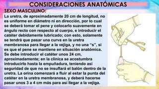 CONSIDERACIONES ANATÓMICAS
SEXO MASCULINO:
La uretra, de aproximadamente 20 cm de longitud, no
es uniforme en diámetro ni en dirección, por lo cual
se deberá tomar el pene y colocarlo suavemente en
ángulo recto con respecto al cuerpo, e introducir el
catéter debidamente lubricado; con esto, solamente
se tendrá que pasar una curva en la uretra
membranosa para llegar a la vejiga, y no una “s”, si
es que el pene se mantiene en situación anatómica.
Se debe introducir el catéter unos 24 cm,
aproximadamente; en la clínica se acostumbra
introducirlo hasta la empuñadura, teniendo así
seguridad de que no se insuflará el balón dentro de la
uretra. La orina comenzará a fluir al estar la punta del
catéter en la uretra membranosa, y deberá hacerse
pasar unos 3 a 4 cm más para así llegar a la vejiga.
 
