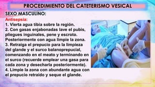 PROCEDIMIENTO DEL CATETERISMO VESICAL
SEXO MASCULINO:
Antisepsia:
1. Vierta agua tibia sobre la región.
2. Con gasas enjabonadas lave el pubis,
pliegues inguinales, pene y escroto.
Posteriormente con agua limpie la zona.
3. Retraiga el prepucio para la limpieza
del glande y el surco balanoprepucial,
comenzando en el meato y terminando en
el surco (recuerde emplear una gasa para
cada zona y desecharla posteriormente).
4. Limpie la zona con abundante agua con
el prepucio retraído y seque el glande.
 