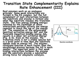 s15-miller-chap-6a-lecture.ppt