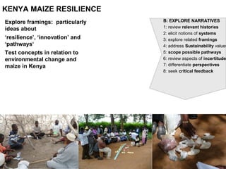 B: EXPLORE NARRATIVES
1: review relevant histories
2: elicit notions of systems
3: explore related framings
4: address Sustainability values
5: scope possible pathways
6: review aspects of incertitude
7: differentiate perspectives
8: seek critical feedback
KENYA MAIZE RESILIENCE
Explore framings: particularly
ideas about
‘resilience’, ‘innovation’ and
‘pathways‘
Test concepts in relation to
environmental change and
maize in Kenya
 