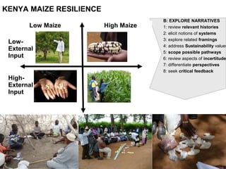 B: EXPLORE NARRATIVES
1: review relevant histories
2: elicit notions of systems
3: explore related framings
4: address Sustainability values
5: scope possible pathways
6: review aspects of incertitude
7: differentiate perspectives
8: seek critical feedback
KENYA MAIZE RESILIENCE
Low Maize High Maize
Low-
External
Input
High-
External
Input
 