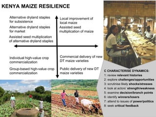 C CHARACTERISE DYNAMICS:
1: review relevant histories
2: explore challenges/opportunities
3: scrutinise likely shocks/stresses
4: look at actors’ strength/weakness
5: examine decision/branch points
6: identify winners/losers
7: attend to issues of power/politics
8: seek critical feedback
KENYA MAIZE RESILIENCE
Alternative dryland staples
for subsistence
Alternative dryland staples
for market
Local improvement of
local maize
Assisted seed
multiplication of maize
Assisted seed multiplication
of alternative dryland staples
Individual high-value crop
commercialization
Group-based high-value crop
commercialization
Commercial delivery of new
DT maize varieties
Public delivery of new DT
maize varieties
 