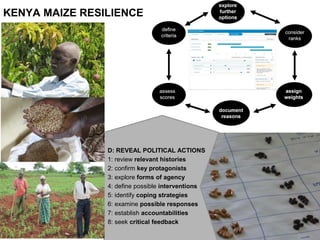 REVEAL
STRATEGIES
D: REVEAL POLITICAL ACTIONS
1: review relevant histories
2: confirm key protagonists
3: explore forms of agency
4: define possible interventions
5: identify coping strategies
6: examine possible responses
7: establish accountabilities
8: seek critical feedback
KENYA MAIZE RESILIENCE
 