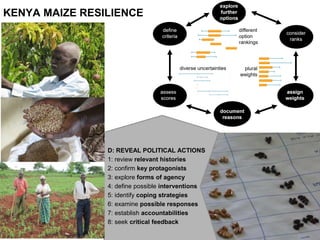 REVEAL
STRATEGIES
D: REVEAL POLITICAL ACTIONS
1: review relevant histories
2: confirm key protagonists
3: explore forms of agency
4: define possible interventions
5: identify coping strategies
6: examine possible responses
7: establish accountabilities
8: seek critical feedback
KENYA MAIZE RESILIENCE
 