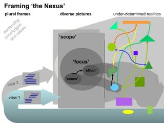 environment
‘system’
under-determined realitiesdiverse picturesplural frames
‘effect’
‘cause’
‘scope’
‘focus’
view 2
view 1
contending
knowledges
and
values
Framing ‘the Nexus’
 