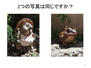 2つの写真は同じですか？	
17	
 
