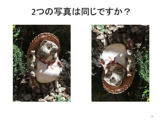 2つの写真は同じですか？	
18	
 