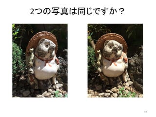 2つの写真は同じですか？	
19	
 