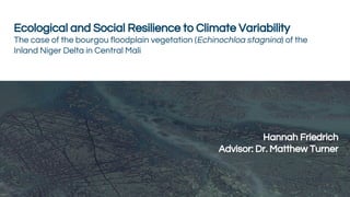 Ecological and Social Resilience to Climate Variability
The case of the bourgou floodplain vegetation (Echinochloa stagnina) of the
Inland Niger Delta in Central Mali
Hannah Friedrich
Advisor: Matthew Turner
June 22, 2016
Hannah Friedrich
Advisor: Dr. Matthew Turner
 
