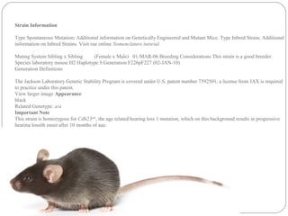 Strain Information
Type Spontaneous Mutation; Additional information on Genetically Engineered and Mutant Mice. Type Inbred Strain; Additional
information on Inbred Strains. Visit our online Nomenclature tutorial.
Mating System Sibling x Sibling (Female x Male) 01-MAR-06 Breeding Considerations This strain is a good breeder.
Species laboratory mouse H2 Haplotype b Generation F226pF227 (02-JAN-10)
Generation Definitions
The Jackson Laboratory Genetic Stability Program is covered under U.S. patent number 7592501, a license from JAX is required
to practice under this patent.
View larger image Appearance
black
Related Genotype: a/a
Important Note
This strain is homozygous for Cdh23ahl
, the age related hearing loss 1 mutation, which on this background results in progressive
hearing lossith onset after 10 months of age.
 