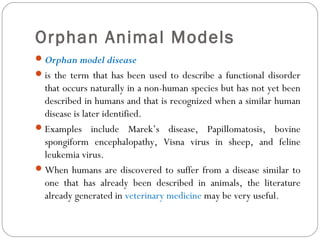 Orphan Animal Models
Orphan model disease
is the term that has been used to describe a functional disorder
that occurs naturally in a non-human species but has not yet been
described in humans and that is recognized when a similar human
disease is later identified.
Examples include Marek’s disease, Papillomatosis, bovine
spongiform encephalopathy, Visna virus in sheep, and feline
leukemia virus.
When humans are discovered to suffer from a disease similar to
one that has already been described in animals, the literature
already generated in veterinary medicine may be very useful.
 