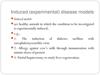 Induced (experimental) disease models
Induced models
are healthy animals in which the condition to be investigated
is experimentally induced,
e.g.,
1- The induction of diabetes mellitus with
encephalomyocarditis virus
2- Allergy against cow’s milk through immunization with
minute doses of protein
3- Partial hepatectomy to study liver regeneration.
 
