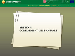 SESSIÓ 1: CONEIXEMENT DELS ANIMALS 