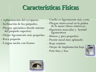 Características Físicas -  Aplanamiento del occipucio. - Inclinación de los párpados. - Pliegue epicántico (borde interno del párpado superior)  - Orejas ligeramente más pequeñas - Boca pequeña  - Lengua ancha con fisuras - Cuello es ligeramente más corto  - P liegue transversal en la palma de la mano (línea simiesca). - Hipotonía muscular y  laxitud ligamentosa  - Manos y pies pequeños - P uente nasal más aplanado  - Baja estatura - Orejas de implantación baja  - Pelo fino y liso   
