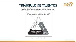 TRIÁNGULO DE TALENTOS
Gráfico de la Guía del PMBOK 6ta edición Pág. 56
 