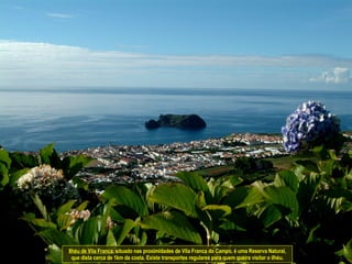 Ilhéu de Vila Franca , situado nas proximidades de Vila Franca do Campo, é uma Reserva Natural, que dista cerca de 1km da costa. Existe transportes regulares para quem queira visitar o ilhéu. 