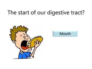 The start of our digestive tract?Mouth 