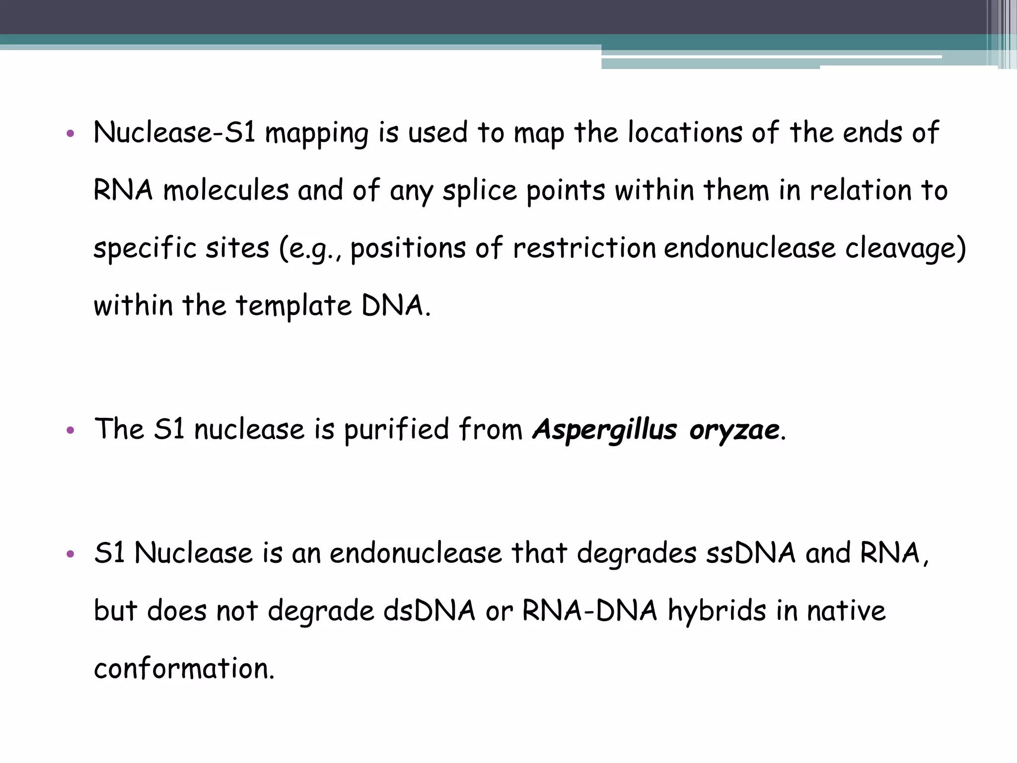 • Nuclease-S1 mapping is used to map the locations of the ends of
RNA molecules and of any splice points within them in relation to
specific sites (e.g., positions of restriction endonuclease cleavage)
within the template DNA.
• The S1 nuclease is purified from Aspergillus oryzae.
• S1 Nuclease is an endonuclease that degrades ssDNA and RNA,
but does not degrade dsDNA or RNA-DNA hybrids in native
conformation.
 