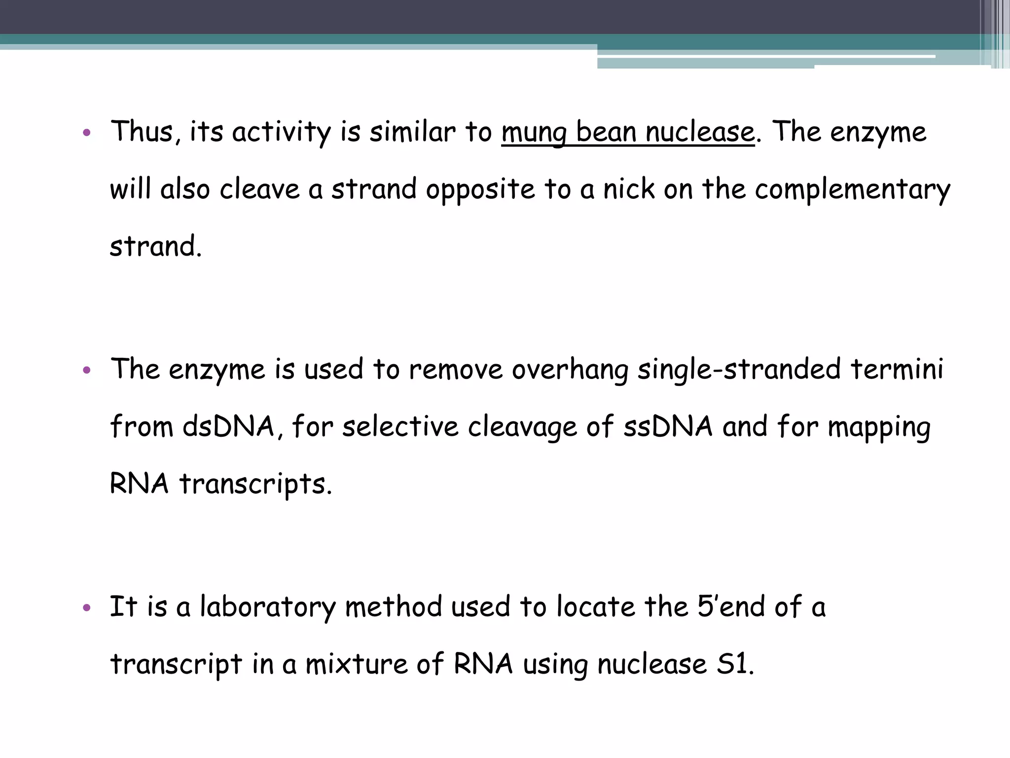 • Thus, its activity is similar to mung bean nuclease. The enzyme
will also cleave a strand opposite to a nick on the complementary
strand.
• The enzyme is used to remove overhang single-stranded termini
from dsDNA, for selective cleavage of ssDNA and for mapping
RNA transcripts.
• It is a laboratory method used to locate the 5’end of a
transcript in a mixture of RNA using nuclease S1.
 