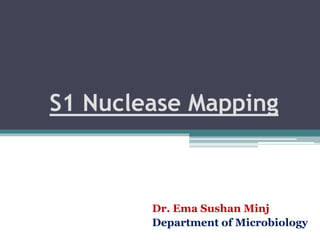 S1 Nuclease Mapping
Dr. Ema Sushan Minj
Department of Microbiology
 