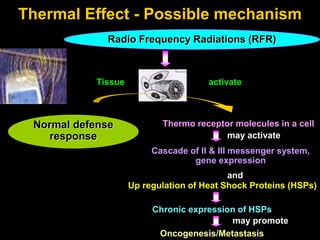 Thermal Effect - Possible mechanism
Tissue
Radio Frequency Radiations (RFR)
Normal defense
response
activate
Thermo receptor molecules in a cell
may activate
Cascade of II & III messenger system,
gene expression
and
Up regulation of Heat Shock Proteins (HSPs)
Chronic expression of HSPs
may promote
Oncogenesis/Metastasis
 