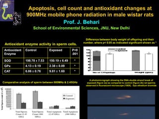 Apoptosis, cell count and antioxidant changes at
900MHz mobile phone radiation in male wistar rats
Prof. J. Behari
School of Environmental Sciences, JNU, New Delhi
Antioxidant enzyme activity in sperm cells.
Antioxidant
Enzyme
Control Exposed P<0
.001
SOD 198.78 ± 7.53 150.19 ± 6.49 *
GPx 4.13 ± 0.19 2.38 ± 0.09 *
CAT 6.86 ± 0.76 9.81 ± 1.60 *
Comparative analysis of sperm between 900MHz & 2.45GHz
Difference between body weight of offspring and their
number, where p< 0.05 as indicated significant shown as *
A photomicrograph showing the DNA double strand break of
exposed (figure 2a) as compared to control (figure 2b) rat sperms
observed in fluorescent microscope (100X). Dye ethedium bromide
 