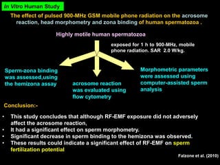 The effect of pulsed 900-MHz GSM mobile phone radiation on the acrosome
reaction, head morphometry and zona binding of human spermatozoa .
Highly motile human spermatozoa
exposed for 1 h to 900-MHz, mobile
phone radiation. SAR 2.0 W/kg.
acrosome reaction
was evaluated using
flow cytometry
Morphometric parameters
were assessed using
computer-assisted sperm
analysis
Sperm-zona binding
was assessed,using
the hemizona assay
• This study concludes that although RF-EMF exposure did not adversely
affect the acrosome reaction,
• It had a significant effect on sperm morphometry.
• Significant decrease in sperm binding to the hemizona was observed.
• These results could indicate a significant effect of RF-EMF on sperm
fertilization potential
Falzone et al. (2010)
Conclusion:-
In Vitro Human Study
 