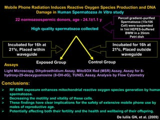 Mobile Phone Radiation Induces Reactive Oxygen Species Production and DNA
Damage in Human Spermatozoa In Vitro study
22 normozoospermic donors, age - 24.1±1.1 y
Incubated for 16h at
21ºc, Placed within
waveguide
Incubated for 16h at
21ºc, Placed outside
waveguide
Exposed Group Control Group
Light Microscopy, Dihydroethidium Assay, MitoSOX Red (MSR) Assay, Assay for 8-
hydroxy-29-deoxyguanosine (8-OH-dG), TUNEL Assay, Analysis by Flow Cytometry
De Iuliis GN, et al. (2009)
High quality spermatozoa collected
Percoll gradient–purified
Spermatozoa (15x106
Cell) were suspended
in 1ml HEPES-buffered
BWW in a 35mm
Petri dish
Assays
 RF-EMR exposure enhances mitochondrial reactive oxygen species generation by human
spermatozoa.
 Decreasing the motility and vitality of these cells.
 These findings have clear implications for the safety of extensive mobile phone use by
males of reproductive age.
 Potentially affecting both their fertility and the health and wellbeing of their offspring.
Conclusions:
 