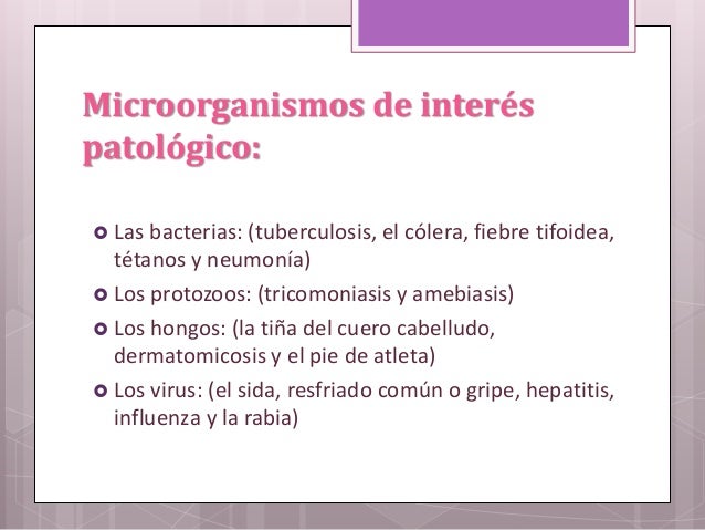 La dosificación vermoks para la profiláctica de las lombrices