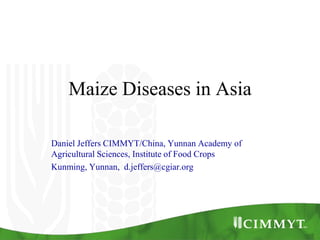 Maize Diseases in Asia

Daniel Jeffers CIMMYT/China, Yunnan Academy of
Agricultural Sciences, Institute of Food Crops
Kunming, Yunnan, d.jeffers@cgiar.org
 