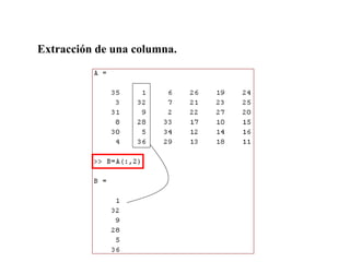 S2.2-PPT-Casos de Matrices-Laboratorio.pptx